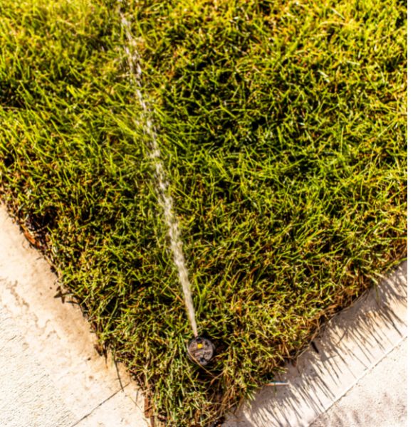 Commercial Irrigation System sprinkler